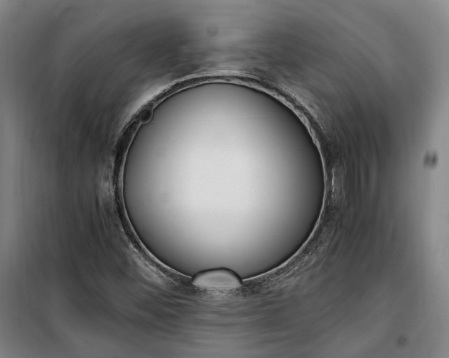 X0000100341452200806121140