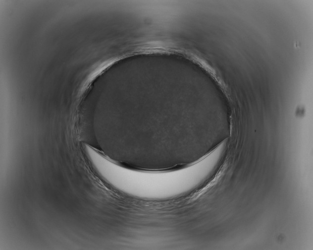 X0000100341453200806121140