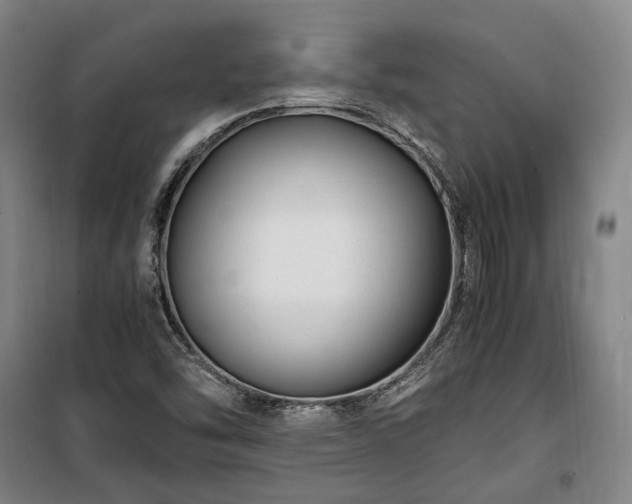X0000100341454200806121140