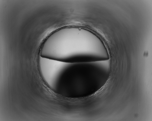 X0000100341455200806121140