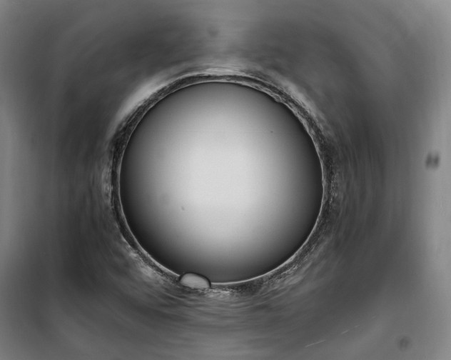 X0000100341456200806121140