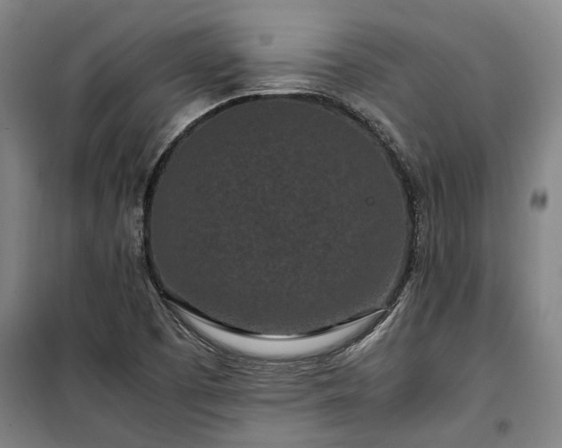 X0000100341457200806121140
