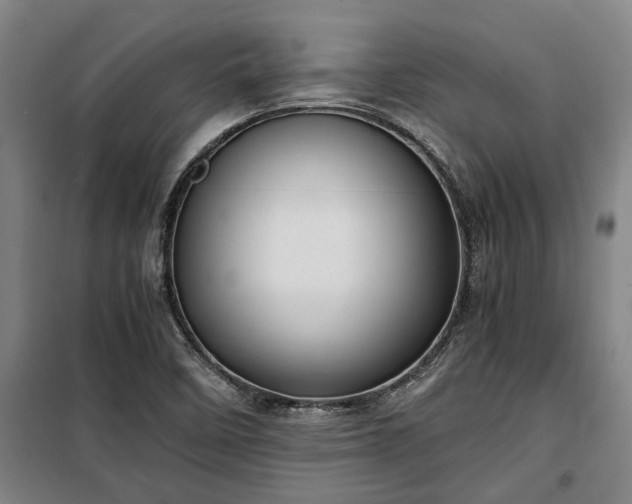 X0000100341458200806121139