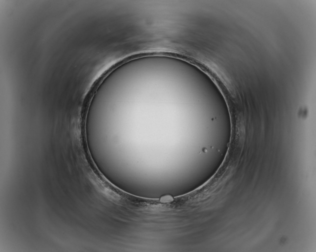 X0000100341460200806121139