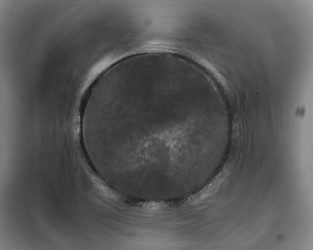 X0000100341461200806121139