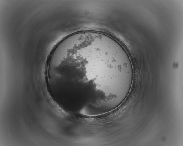 X0000100341463200806121139