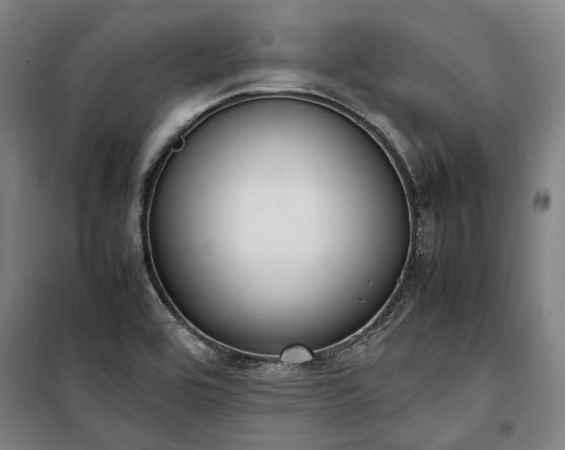 X0000100341464200806121139