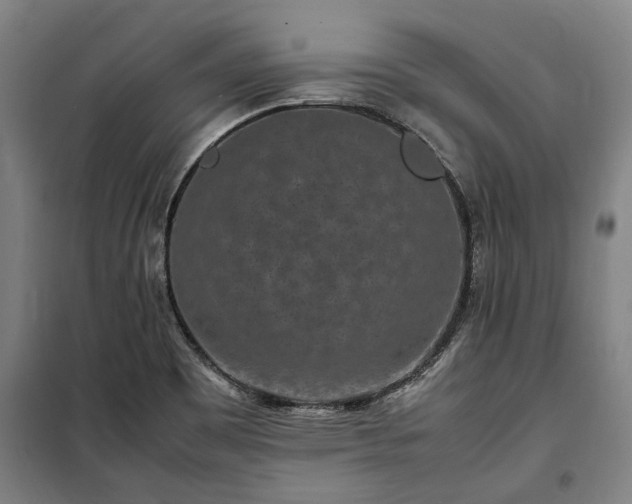 X0000100341465200806121139