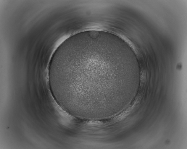 X0000100341466200806121139