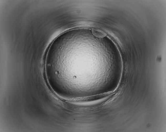 X0000100341467200806121139