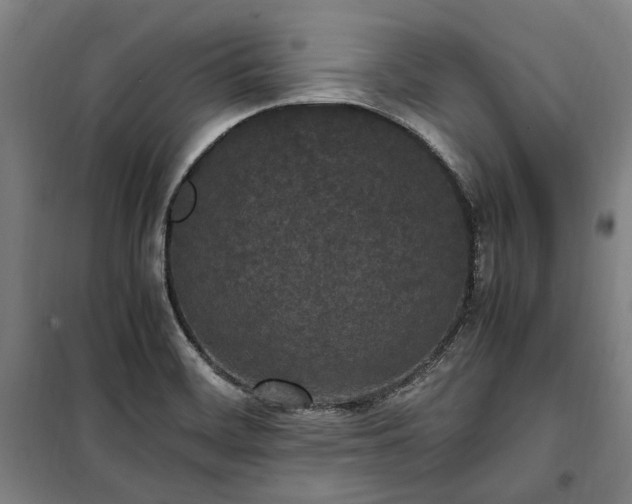 X0000100341468200806121139