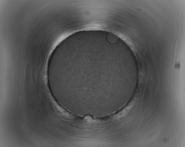 X0000100341469200806121139