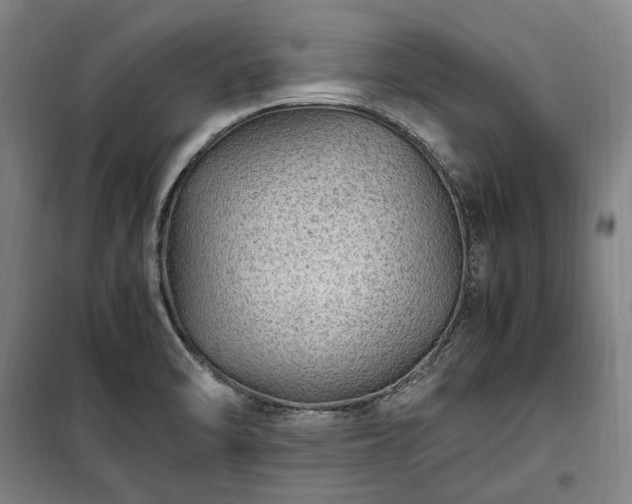X0000100341470200806121139