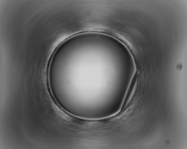 X0000100341471200806121139