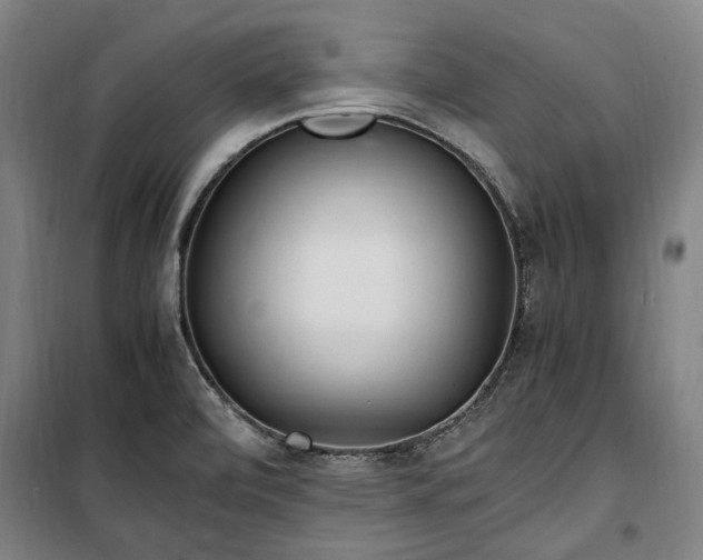 X0000100341472200806121139