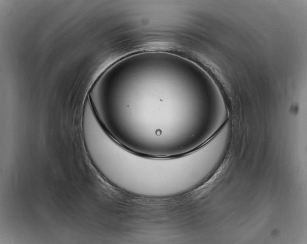X0000100341473200806121139