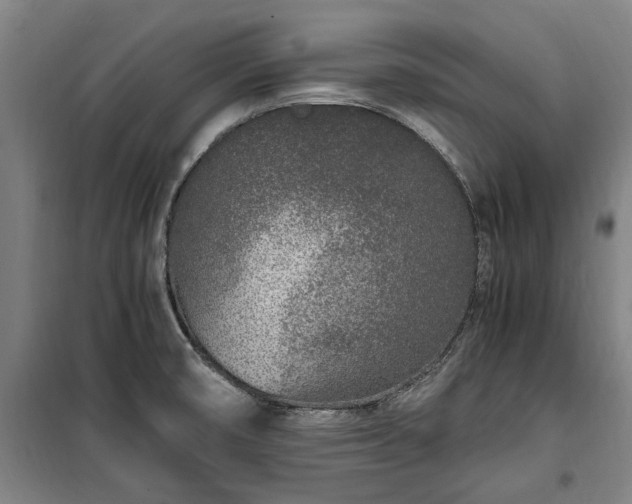 X0000100341474200806121139