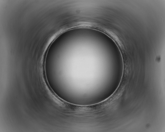 X0000100341475200806121139
