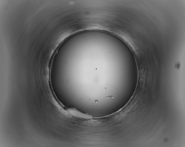 X0000100341476200806121139