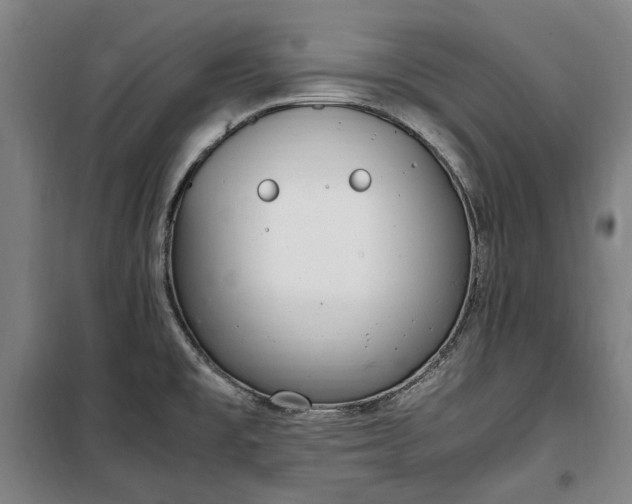X0000100341477200806121139