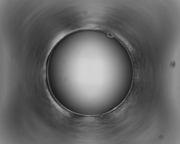 X0000100341479200806121139