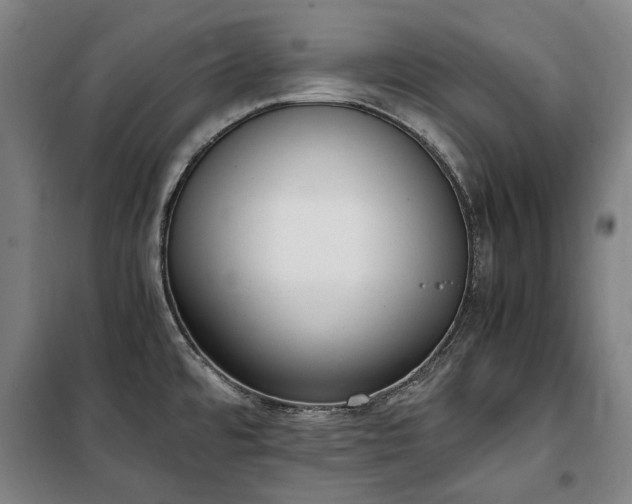 X0000100341480200806121139