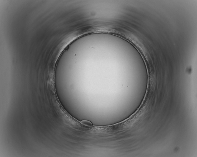 X0000100341481200806121139