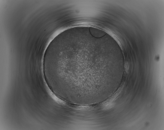 X0000100341482200806121139