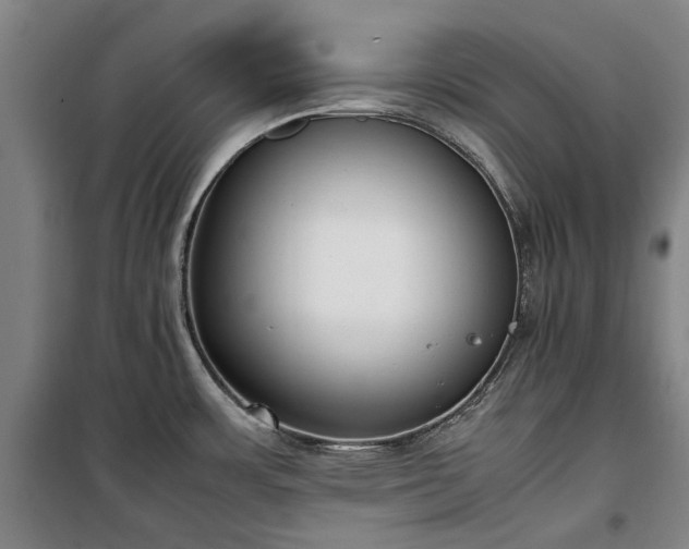 X0000100341483200806121139