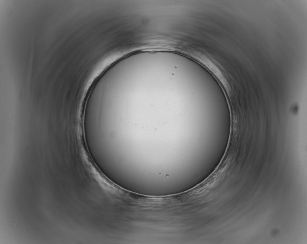 X0000100341485200806121139