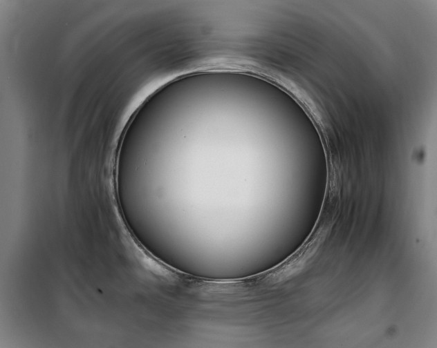 X0000100341486200806121139