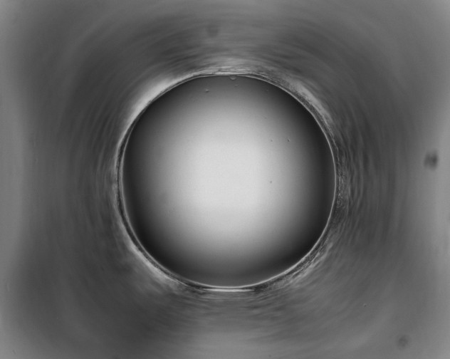 X0000100341487200806121139