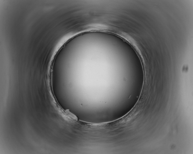 X0000100341488200806121139
