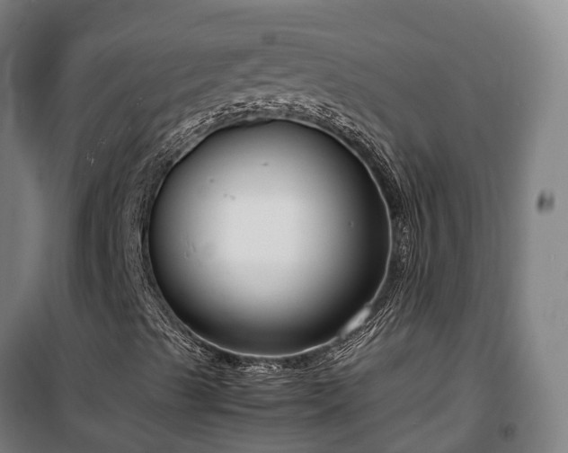 X0000100341489200806121138