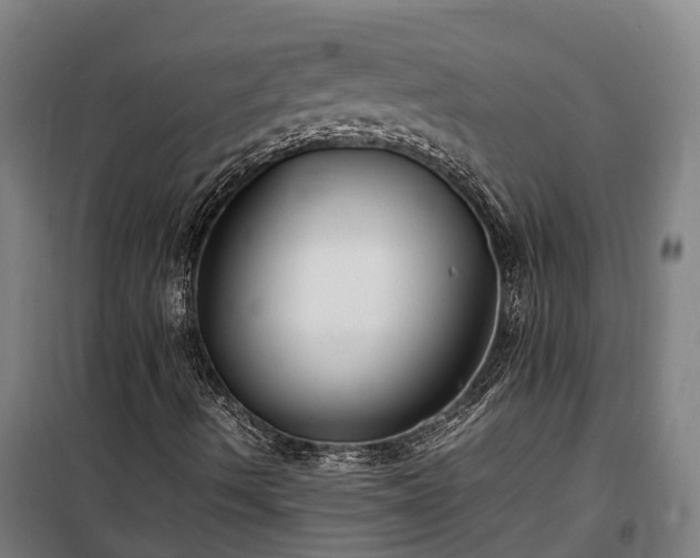 X0000100341490200806121138
