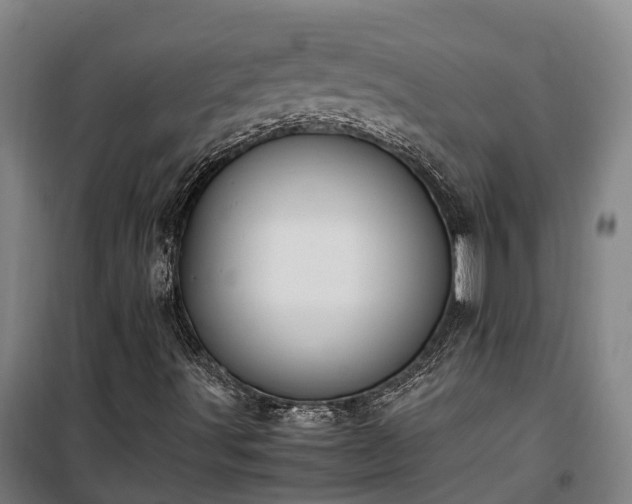X0000100341491200806121138