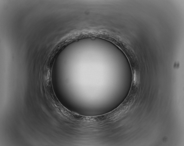 X0000100341492200806121138
