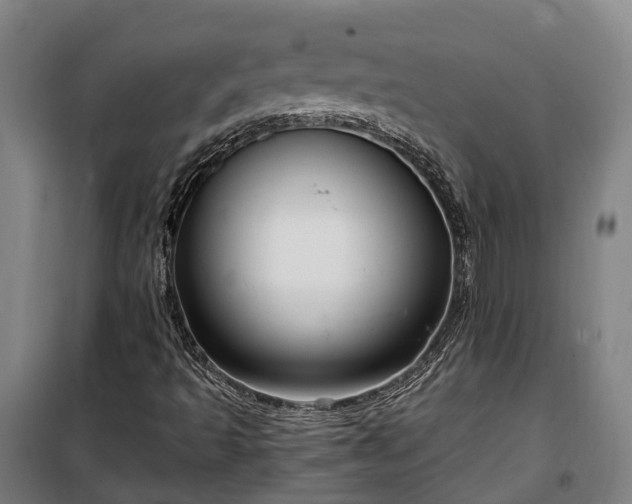 X0000100341493200806121138