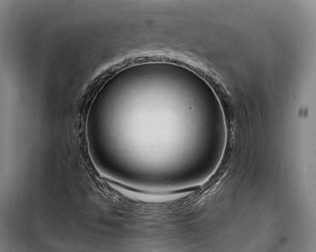 X0000100341494200806121138
