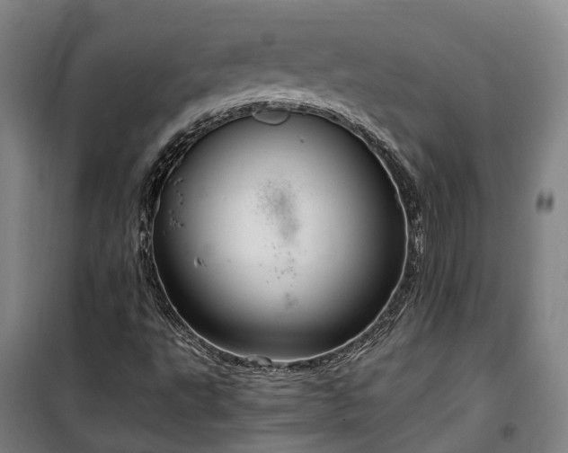 X0000100341495200806121138
