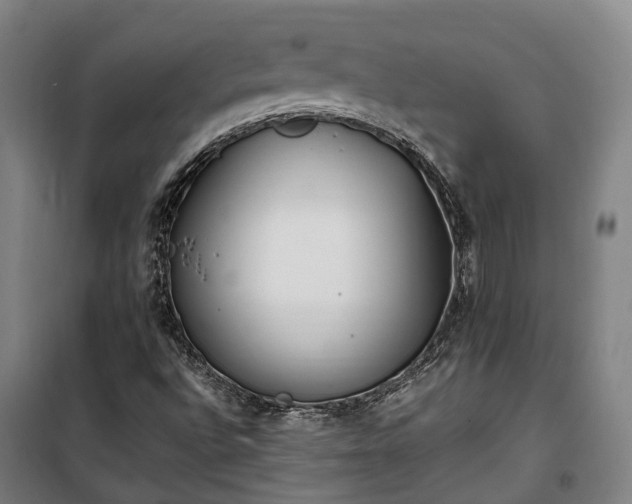 X0000100341496200806121139