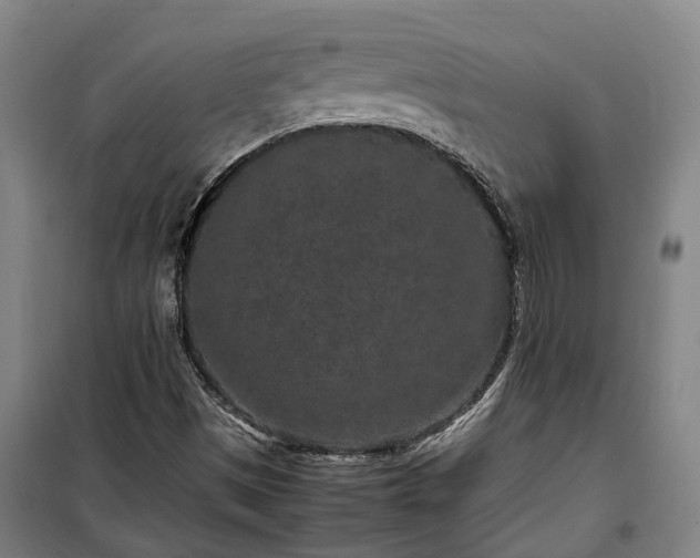 X0000100341497200806121139