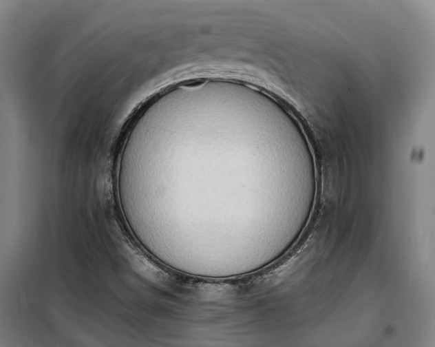 X0000100341498200806121139