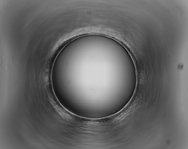 X0000100341499200806121139
