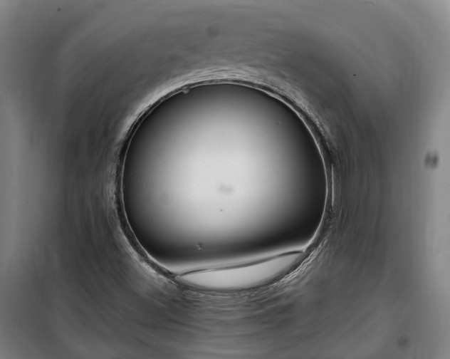 X0000100341500200806121139