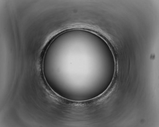 X0000100341501200806121139