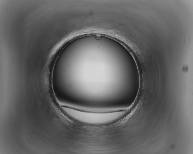 X0000100341502200806121139