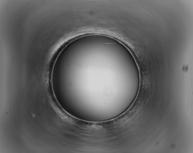 X0000100341503200806121139