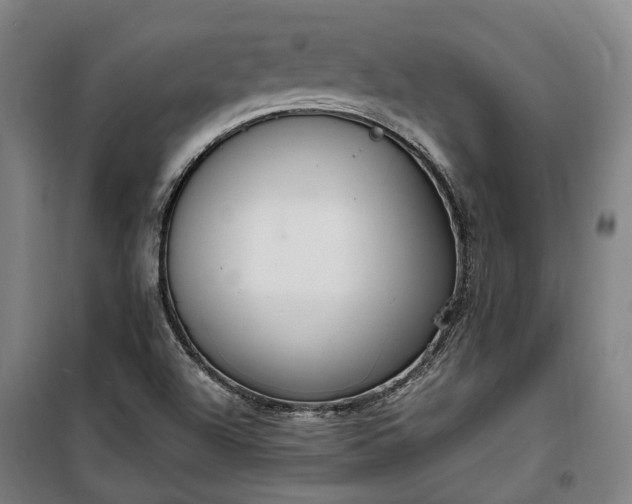 X0000100341504200806121139