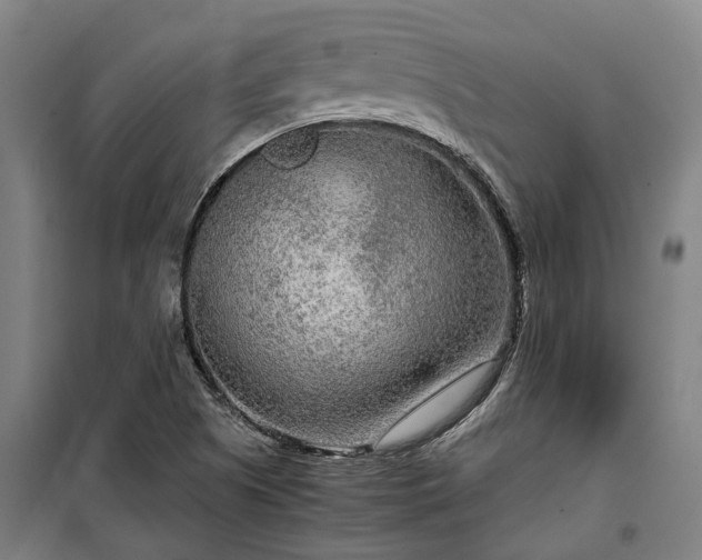 X0000100341505200806121139